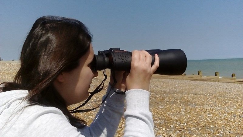 Volunteering at Rye Harbour Nature Reserve